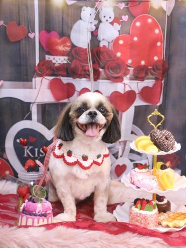 20250201うーたんくん